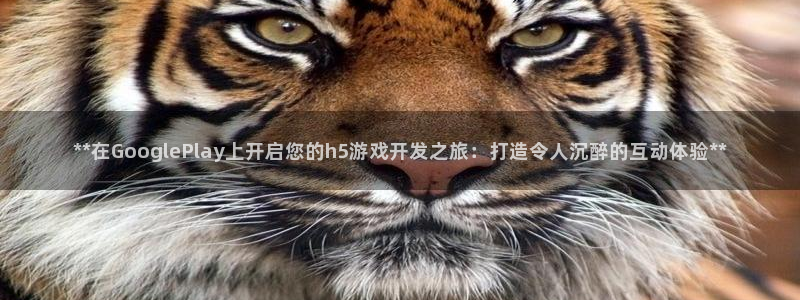 沐鸣2开户