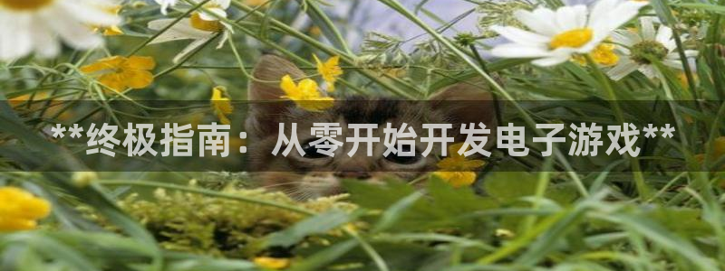 沐鸣2注册地址