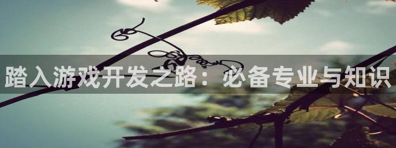 沐鸣娱乐2测速登陆