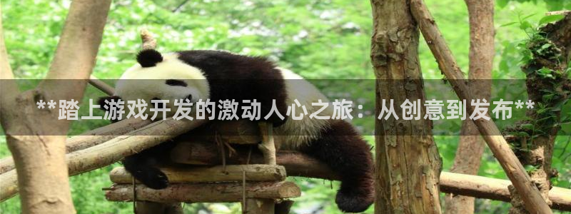 沐鸣2手机网页版
