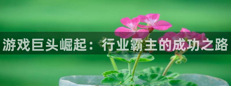 沐鸣2注册登陆