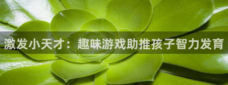沐鸣2平台负责人
