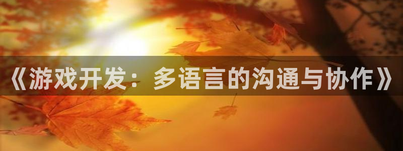 沐鸣娱乐2注册账号：《游戏开发：多语言的沟通与协作》