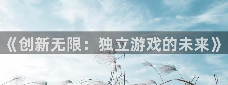 沐鸣娱乐2官方平台：《创新无限：独立游戏的未来》
