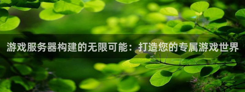 沐鸣娱乐2l怎么样：游戏服务器构建的无限可能：打造您的专属游戏世界