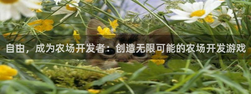 沐鸣2平台在线注册：自由，成为农场开发者：创造无限可能的农场开发游戏