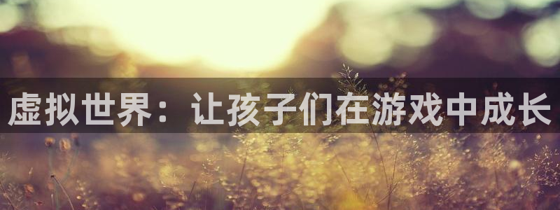 沐鸣娱乐2登陆不上怎么办：虚拟世界：让孩子们在游戏中成长