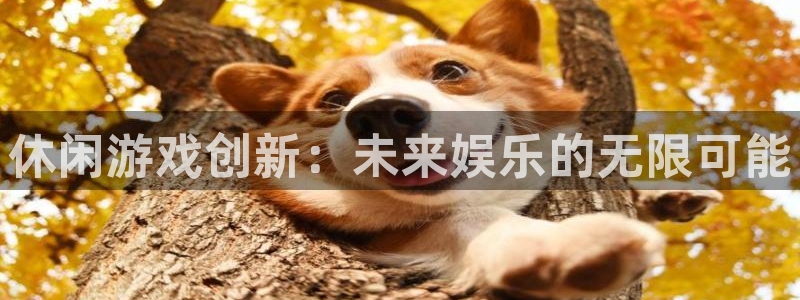沐鸣2app官方：休闲游戏创新：未来娱乐的无限可能