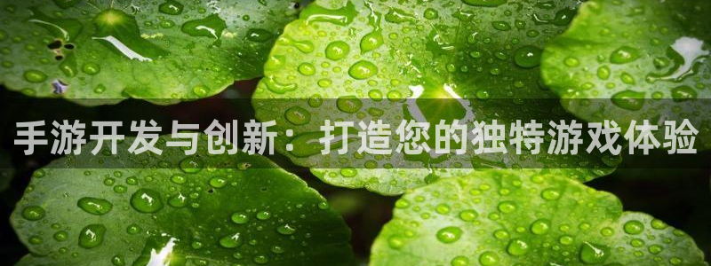 沐鸣娱乐2注册地址：手游开发与创新：打造您的独特游戏体验