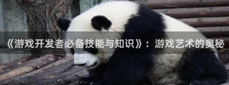 沐鸣娱乐2登陆不上怎么办：《游戏开发者必备技能与知识》：游戏艺术的奥秘