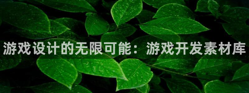 沐鸣2平台是杏彩的吗：游戏设计的无限可能：游戏开发素材库