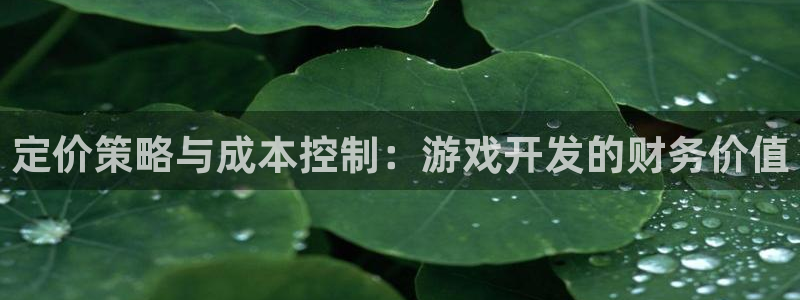 沐鸣2娱乐平台登录：定价策略与成本控制：游戏开发的财务价值