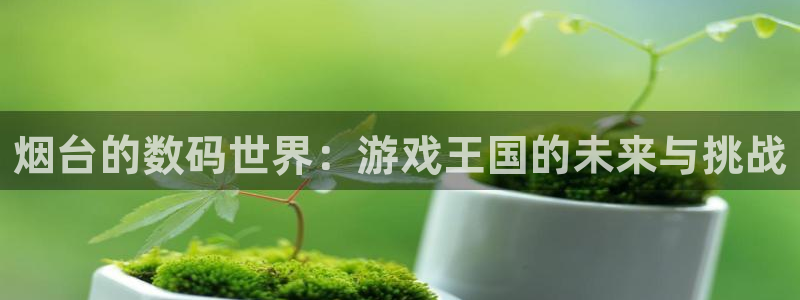 沐鸣娱乐2是正规平台么吗：烟台的数码世界：游戏王国的未来与挑战