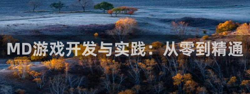 沐鸣2开户地址：MD游戏开发与实践：从零到精通