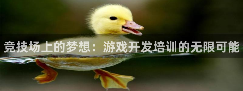 沐鸣2测速登录：竞技场上的梦想：游戏开发培训的无限可能