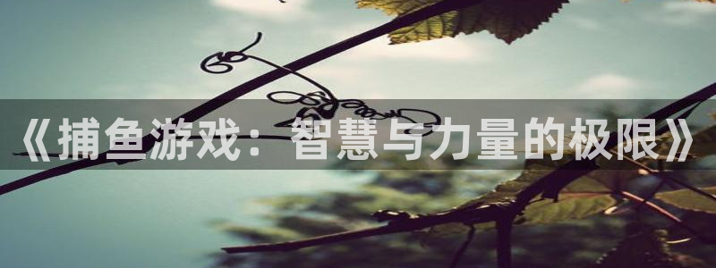 沐鸣娱乐2返点：《捕鱼游戏：智慧与力量的极限》