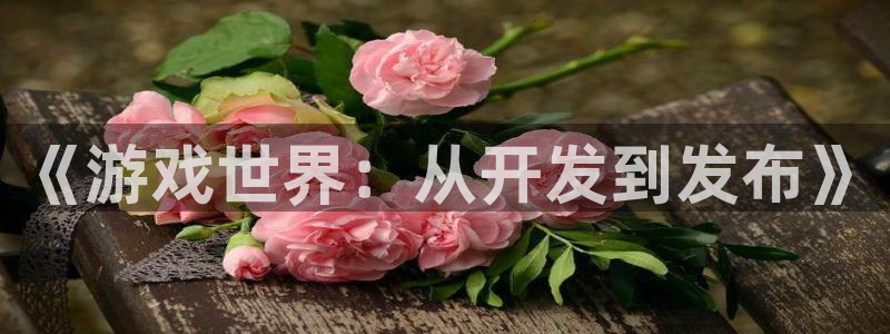 沐鸣娱乐2电脑版：《游戏世界：从开发到发布》